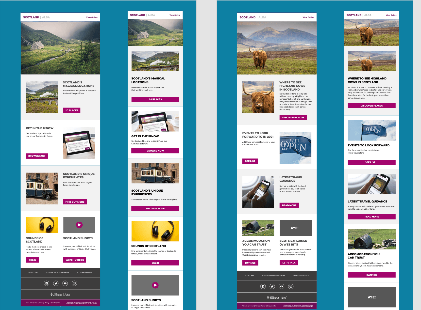 Email campaigns were smart, and fully responsive, ensuring a seamless experience across all devices and email clients.